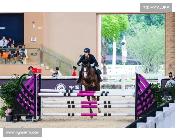 马术课程融入学生生活，体育教育促进全面发展